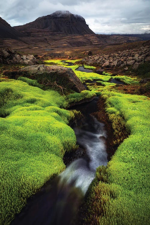 Green Contrast In Western Iceland