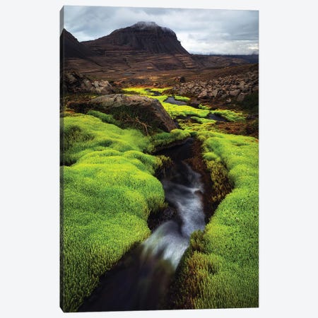 Green Contrast In Western Iceland Canvas Print #DGG32} by Daniel Gastager Canvas Wall Art