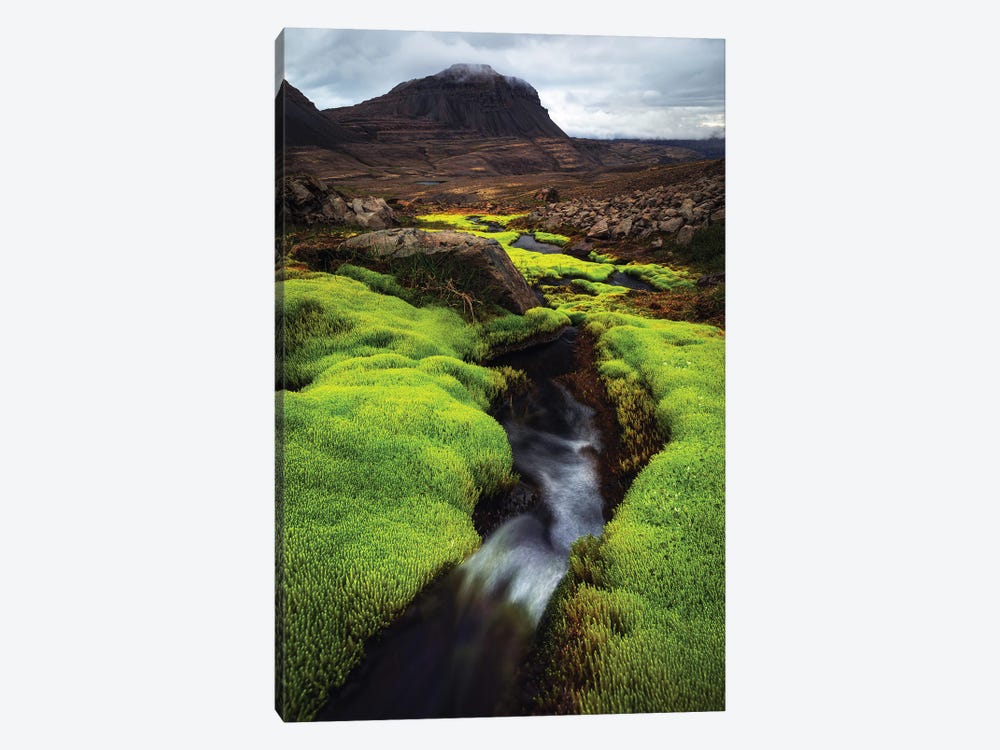 Green Contrast In Western Iceland by Daniel Gastager 1-piece Canvas Art Print