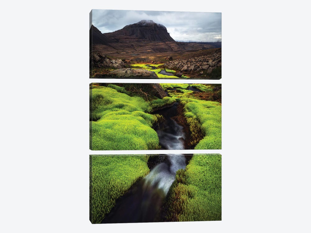 Green Contrast In Western Iceland by Daniel Gastager 3-piece Canvas Art Print