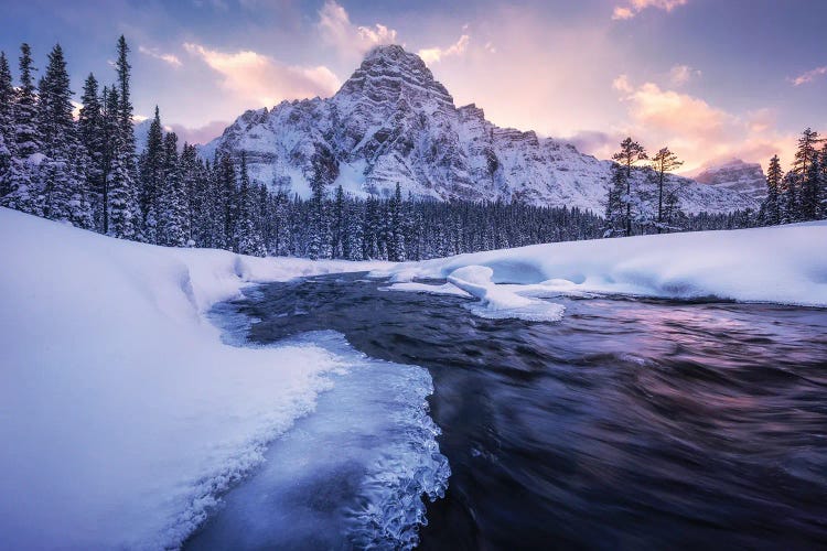 Winter Evening At Mount Chephren In Alberta