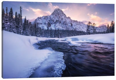 Winter Evening At Mount Chephren In Alberta Canvas Art Print