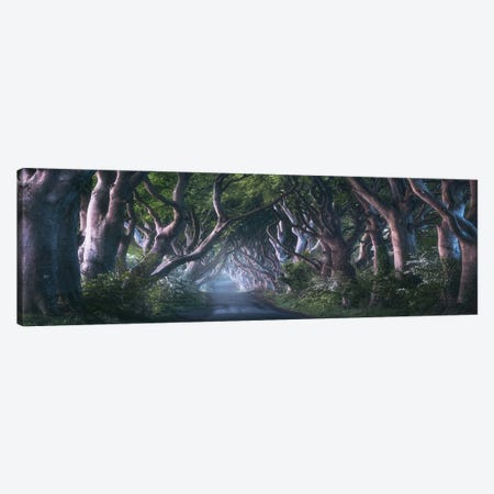 Dawn At The Dark Hedges In Northern Ireland Canvas Print #DGG341} by Daniel Gastager Art Print