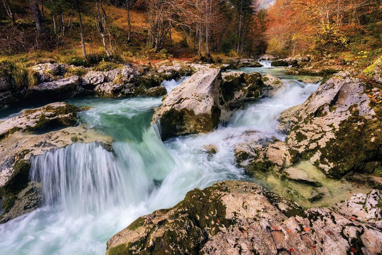 Fall Morning At A Forest Creek In Slovenia