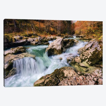 Fall Morning At A Forest Creek In Slovenia Canvas Print #DGG344} by Daniel Gastager Canvas Art