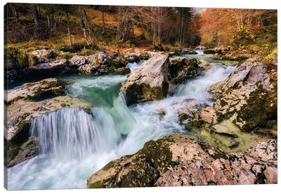 Fall Morning At A Forest Creek In Slovenia Canvas Art Print - Slovenia