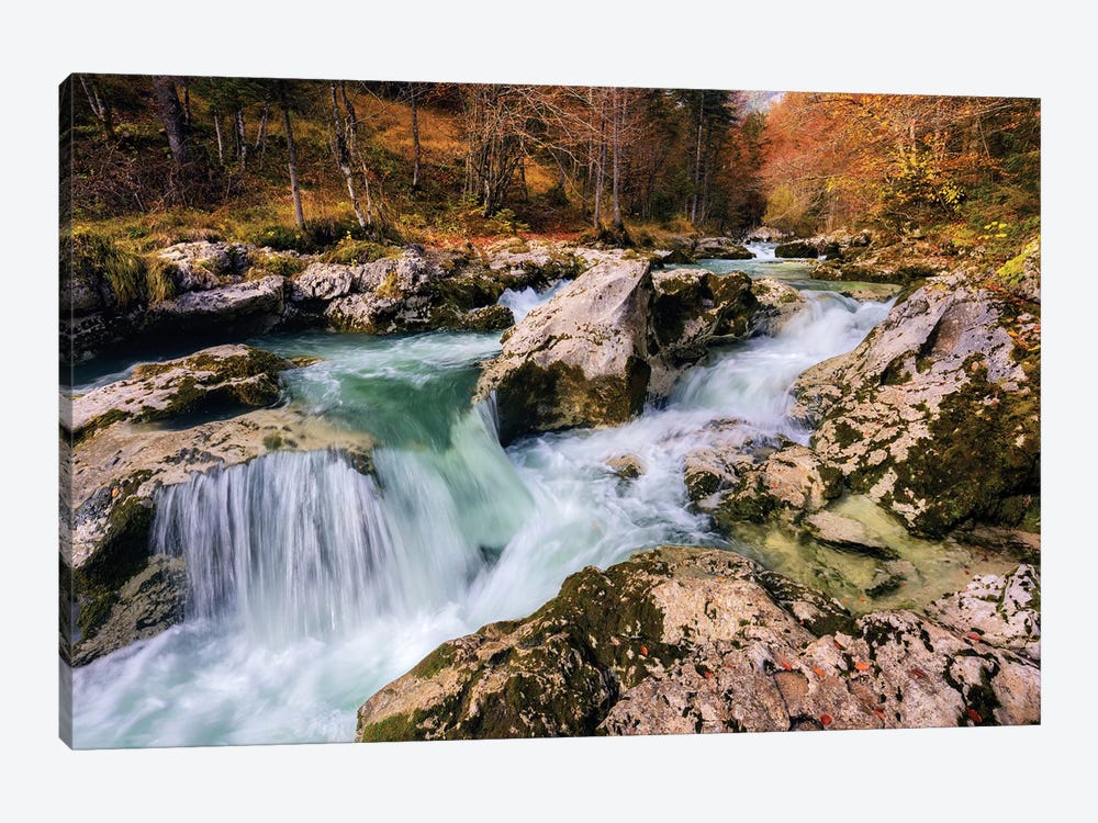 Fall Morning At A Forest Creek In Slovenia by Daniel Gastager 1-piece Canvas Wall Art