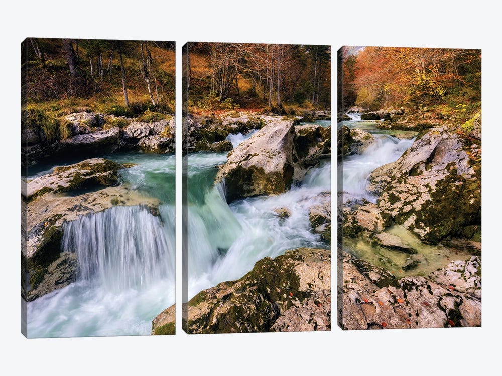 Fall Morning At A Forest Creek In Slovenia by Daniel Gastager 3-piece Canvas Wall Art