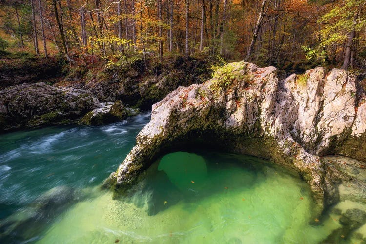 Fall Afternoon At A Forest Creek In Slovenia