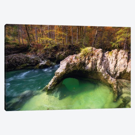 Fall Afternoon At A Forest Creek In Slovenia Canvas Print #DGG355} by Daniel Gastager Canvas Print