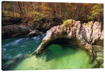 Fall Afternoon At A Forest Creek In Slovenia Canvas Art Print - Slovenia