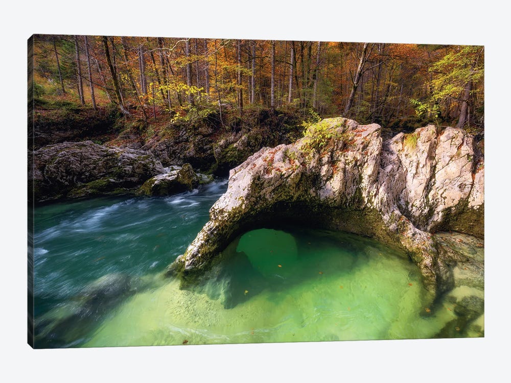 Fall Afternoon At A Forest Creek In Slovenia by Daniel Gastager 1-piece Canvas Art