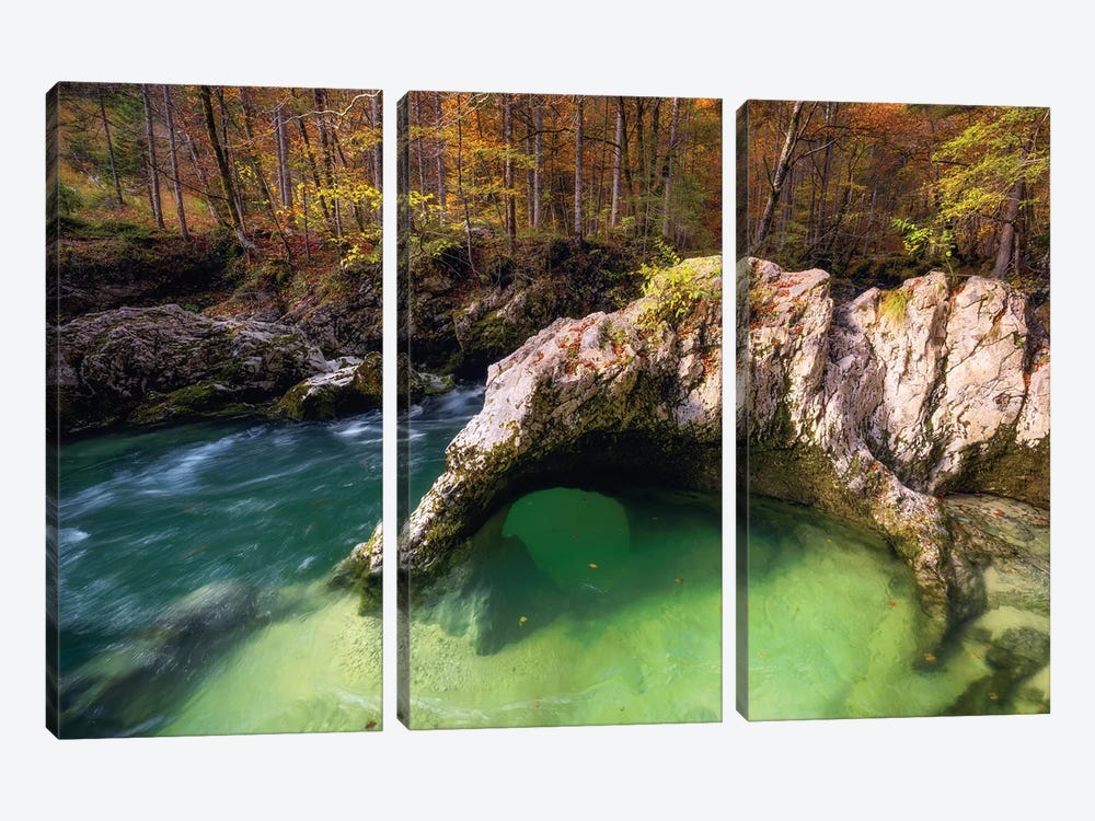 Fall Afternoon At A Forest Creek In Slovenia by Daniel Gastager 3-piece Canvas Wall Art