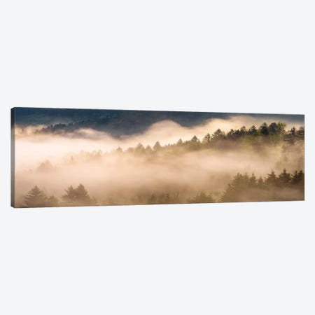 Golden  Fall Morning In The Forest Canvas Print #DGG359} by Daniel Gastager Canvas Artwork