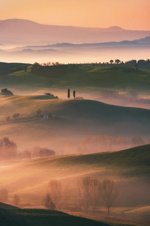 Golden Morning In The Hills Of The Beautiful Tuscany by Daniel Gastager wall art