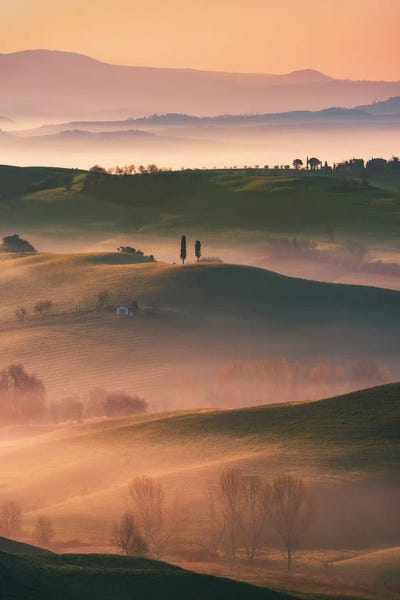 Daniel Gastager: Golden Morning In The Hills Of The Beautiful Tuscany by Daniel Gastager
