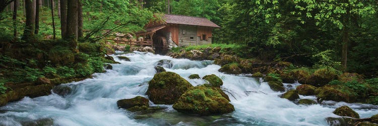 A Hut At A Wild Forest Stream In Austria