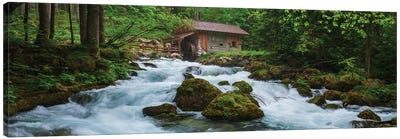 A Hut At A Wild Forest Stream In Austria Canvas Art Print