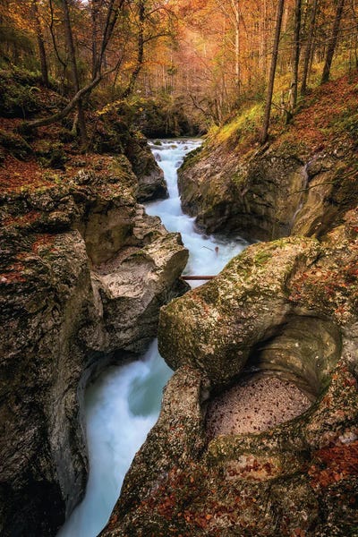 Small Forest Canyon In Slovenia by Daniel Gastager art print