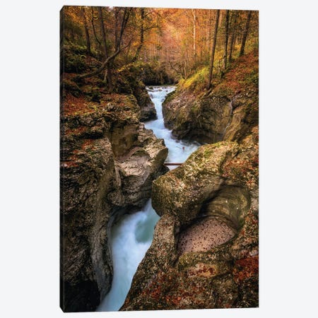 Small Forest Canyon In Slovenia Canvas Print #DGG381} by Daniel Gastager Canvas Print
