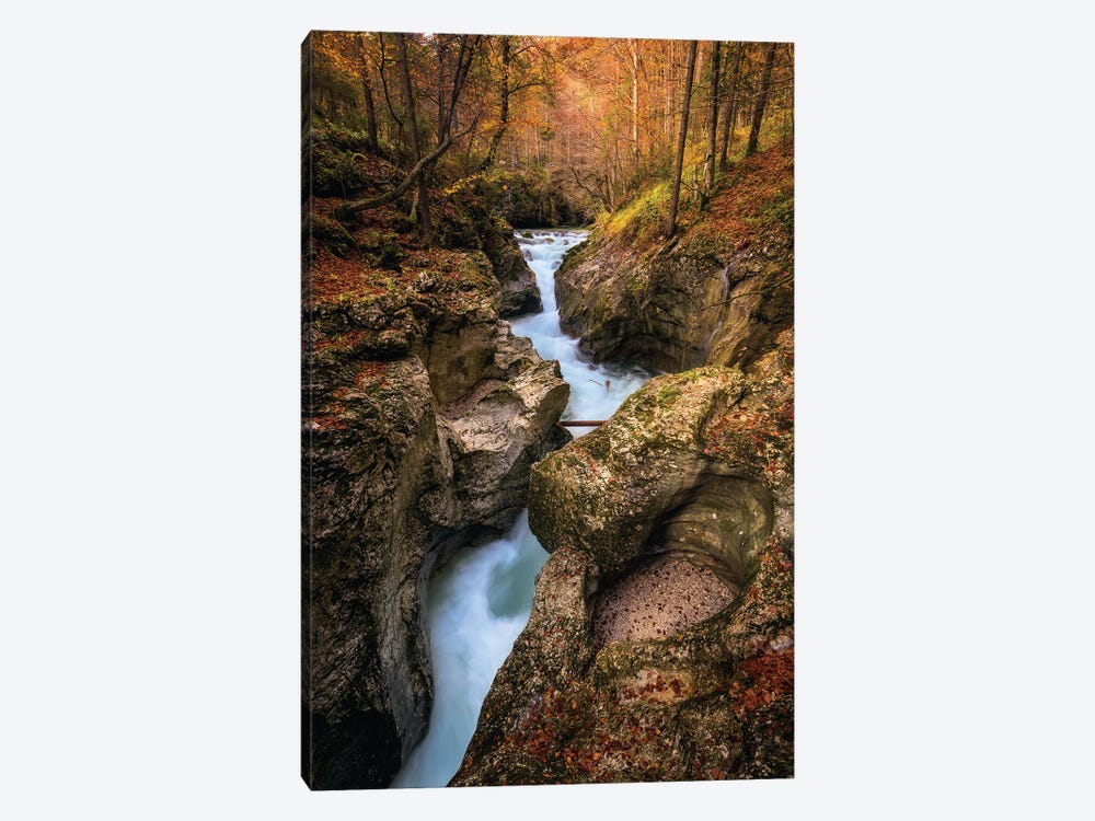 Small Forest Canyon In Slovenia by Daniel Gastager 1-piece Canvas Print
