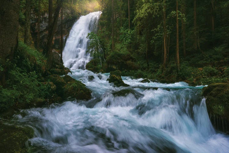 Spring At Gollinger Waterfall In Austria