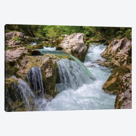 Spring In The Slovenian Forest Canvas Print #DGG383} by Daniel Gastager Canvas Print