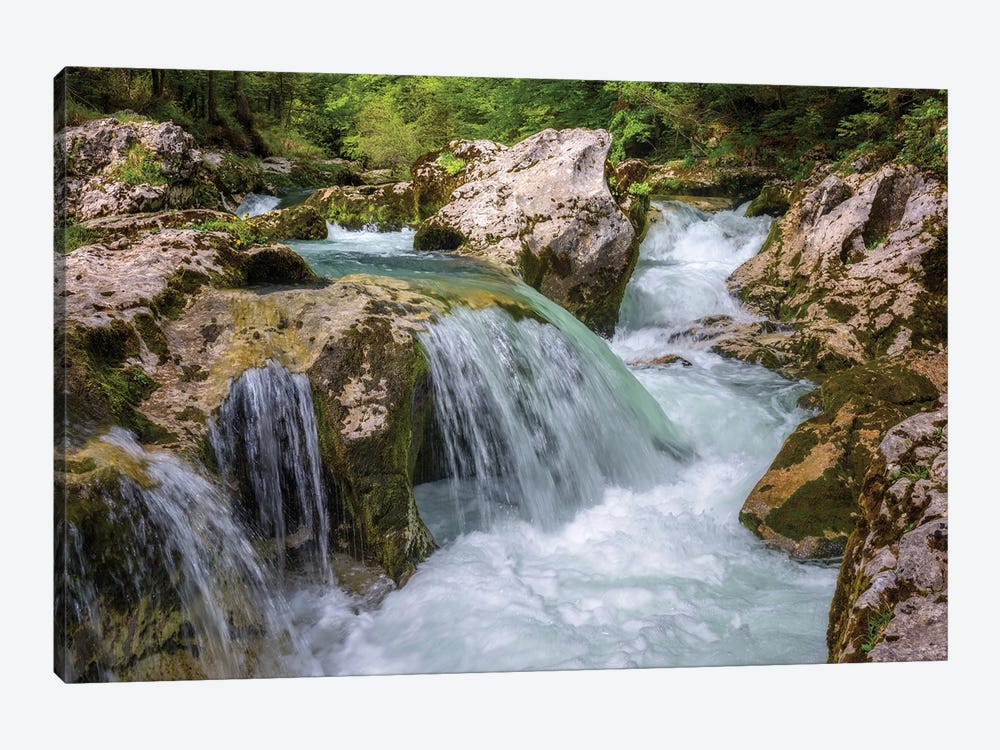 Spring In The Slovenian Forest by Daniel Gastager 1-piece Canvas Print
