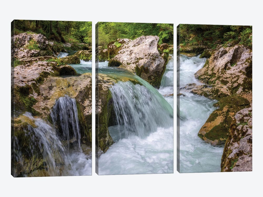 Spring In The Slovenian Forest by Daniel Gastager 3-piece Canvas Print