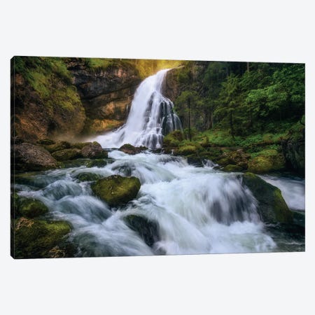 Sunlight In The Spring Forest Canvas Print #DGG385} by Daniel Gastager Canvas Wall Art