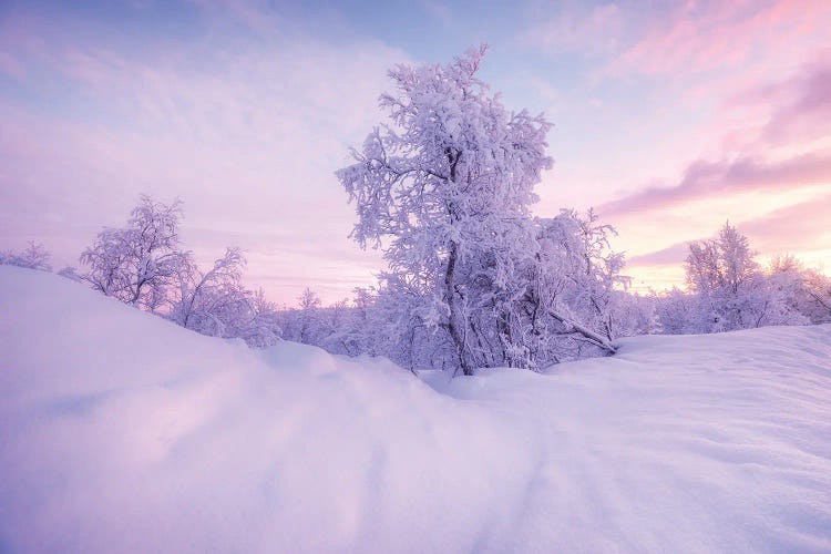 Cold Winter Evening In Sweden