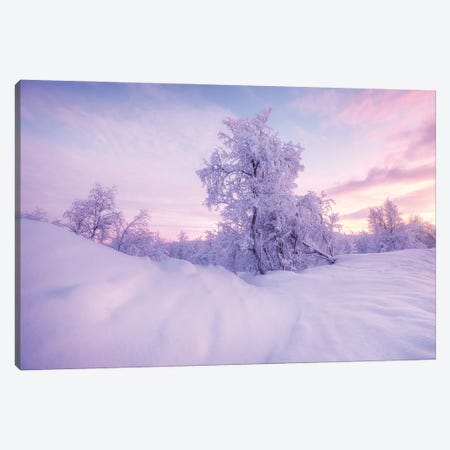 Cold Winter Evening In Sweden Canvas Print #DGG392} by Daniel Gastager Canvas Art