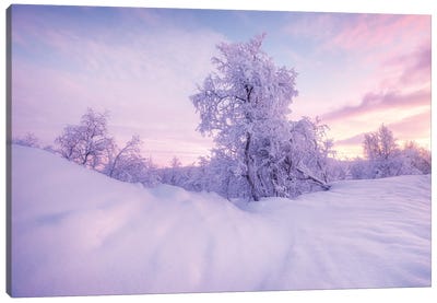 Cold Winter Evening In Sweden Canvas Art Print