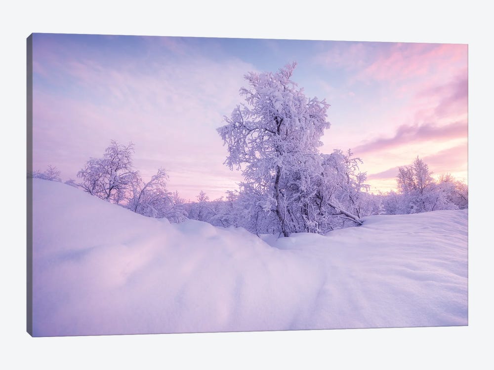 Cold Winter Evening In Sweden by Daniel Gastager 1-piece Art Print