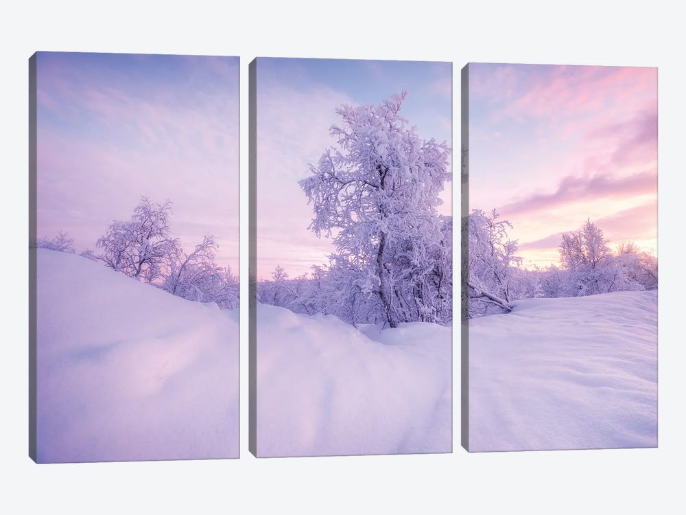 Cold Winter Evening In Sweden by Daniel Gastager 3-piece Canvas Print