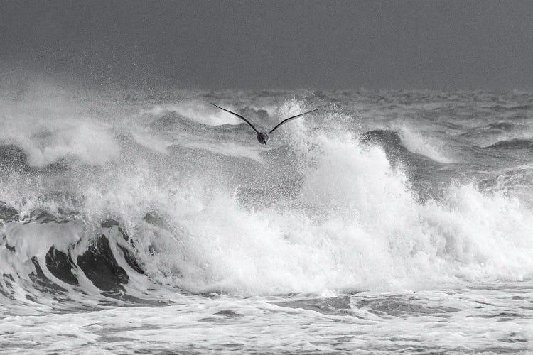 Against The Storm by Daniel Gastager wall art