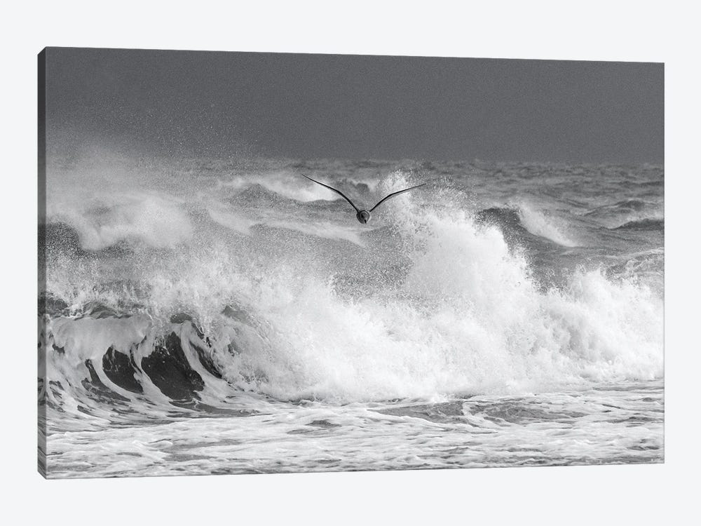Against The Storm by Daniel Gastager 1-piece Canvas Wall Art