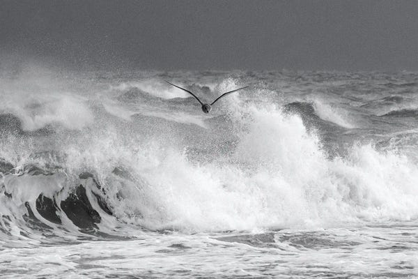 Daniel Gastager: Against The Storm by Daniel Gastager