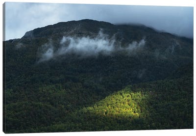 Moody Mountain View Canvas Art Print - Daniel Gastager