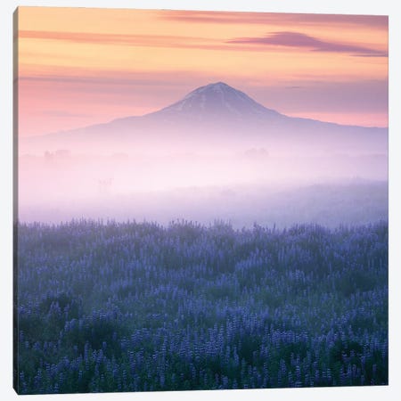 Calm Summer Morning In Iceland Canvas Print #DGG40} by Daniel Gastager Art Print