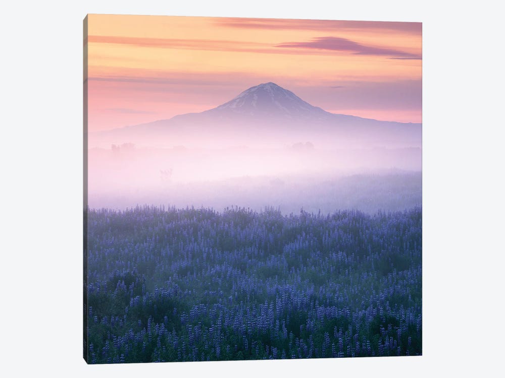 Calm Summer Morning In Iceland by Daniel Gastager 1-piece Canvas Art