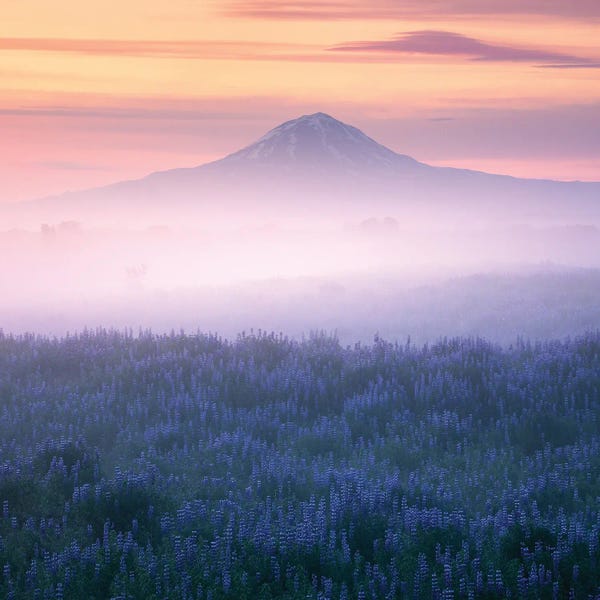 Iceland: Calm Summer Morning In Iceland by Daniel Gastager