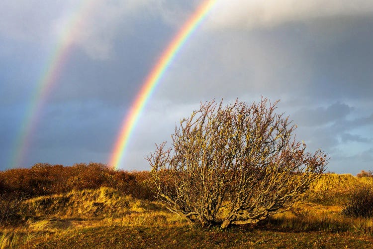 A Double Rainbow After The Storm