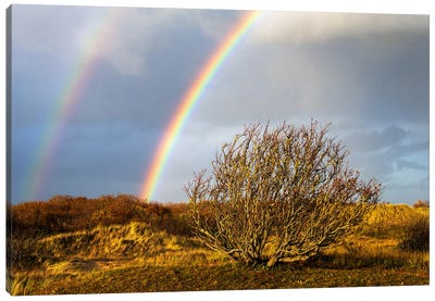 A Double Rainbow After The Storm Canvas Art Print - Daniel Gastager