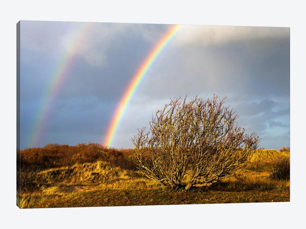 A Double Rainbow After The Storm by Daniel Gastager 1-piece Art Print