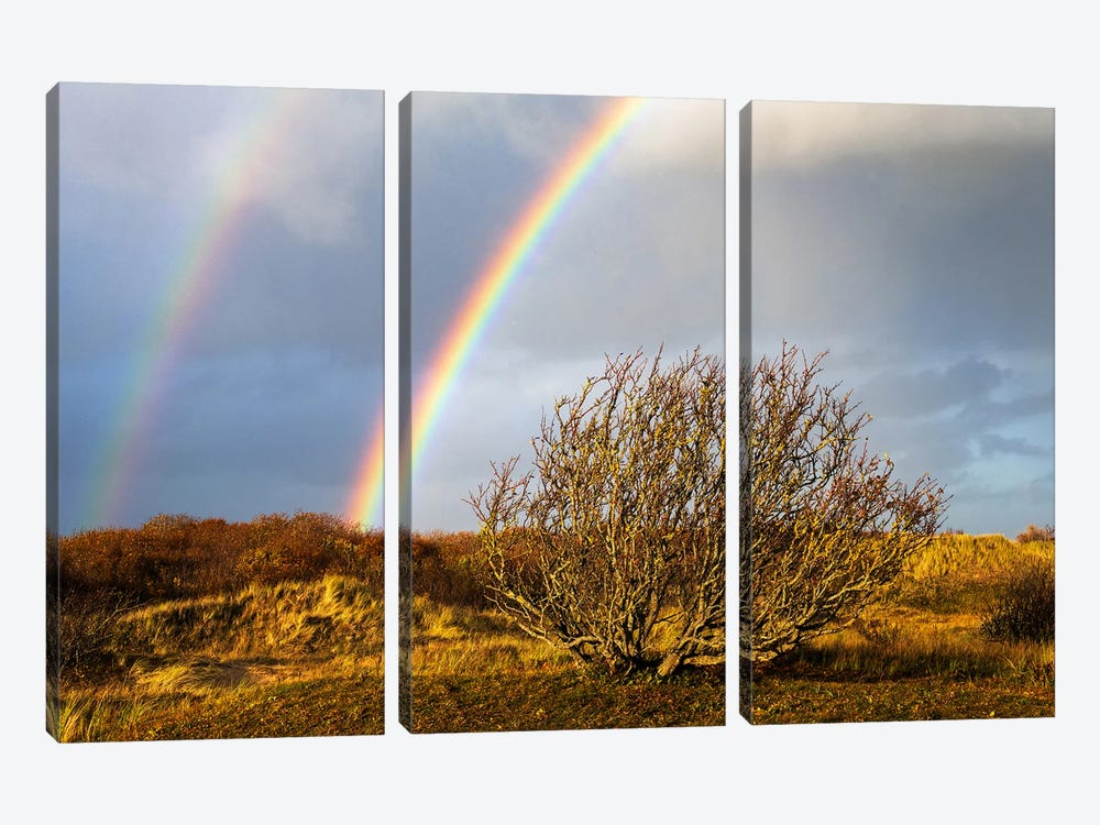 A Double Rainbow After The Storm by Daniel Gastager 3-piece Art Print