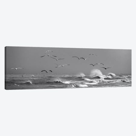 Flying Seagulls Above Dramatic Waves In Denmark Canvas Print #DGG417} by Daniel Gastager Canvas Artwork