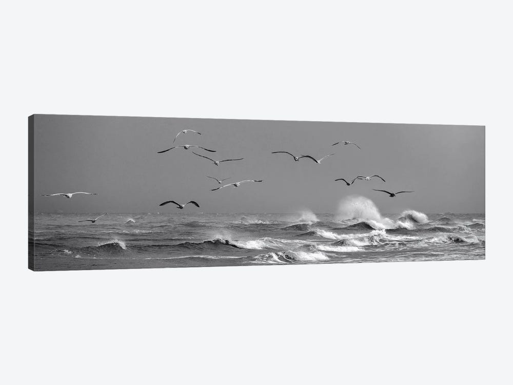 Flying Seagulls Above Dramatic Waves In Denmark by Daniel Gastager 1-piece Art Print