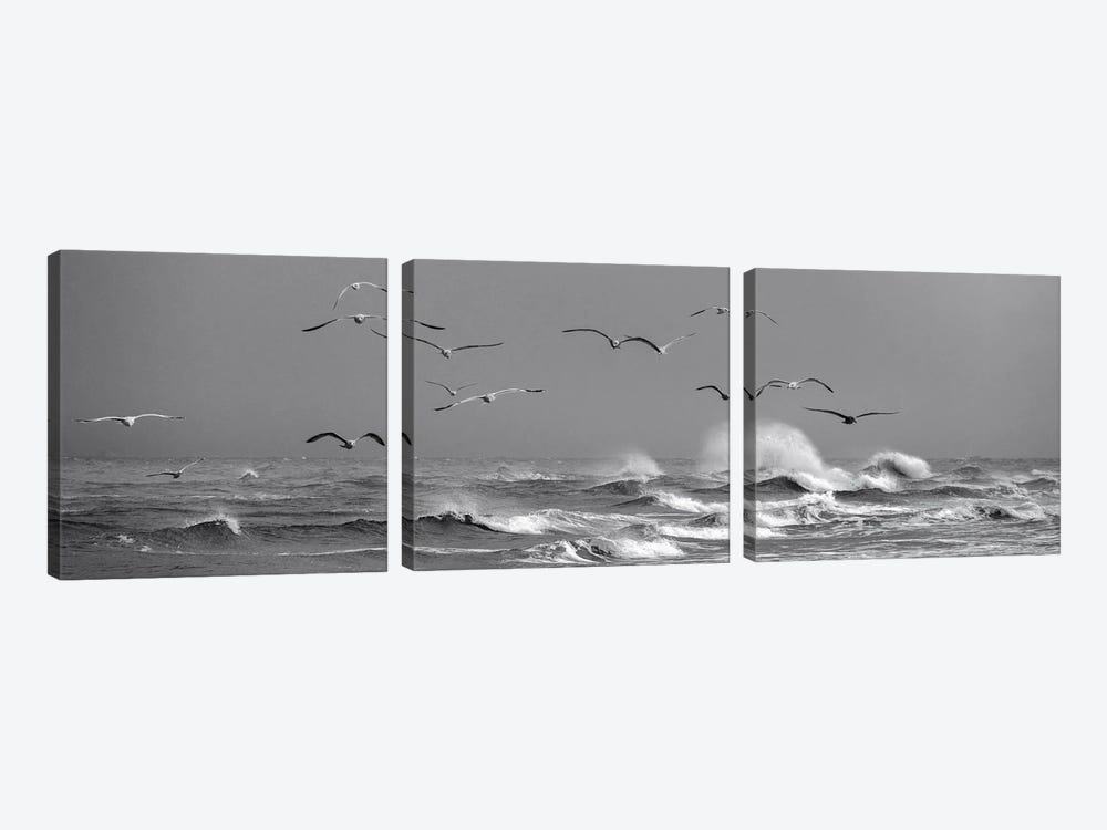 Flying Seagulls Above Dramatic Waves In Denmark by Daniel Gastager 3-piece Art Print