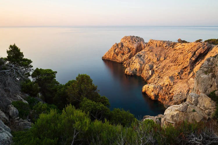 Golden Morning Light At The Mediterranean Coast Of Spain by Daniel Gastager wall art